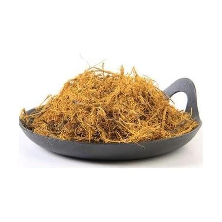 MEYAN KÖK LİF